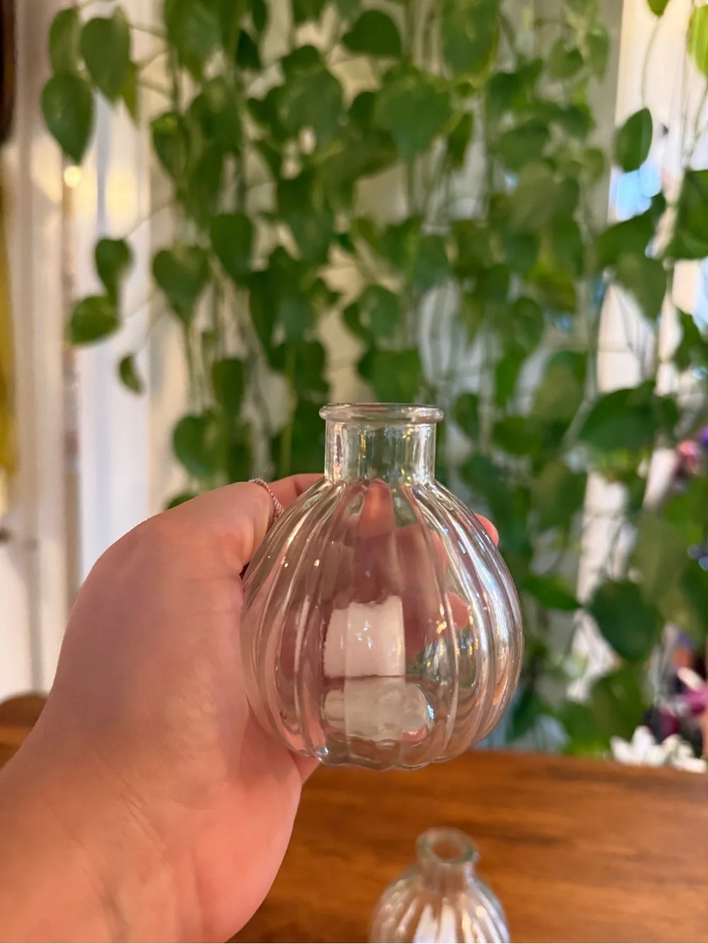 Clear Glass Ribbed Mini Bud Vases - Home Accents